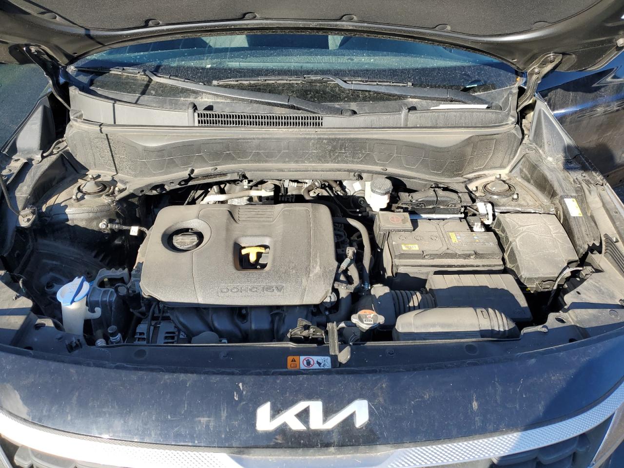 2023 Kia Seltos Lx VIN: KNDEPCAA7P7371068 Lot: 87031805