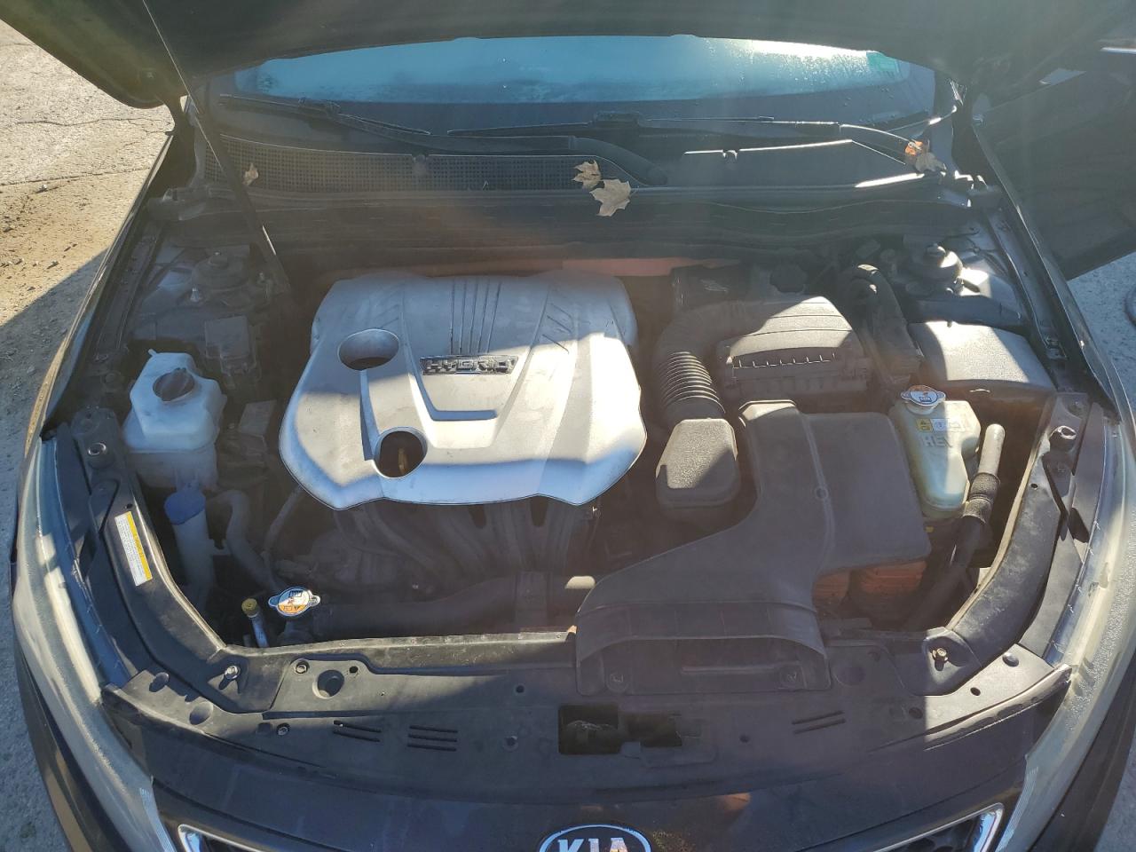 2014 Kia Optima Hybrid VIN: KNAGM4AD0E5070049 Lot: 84774545