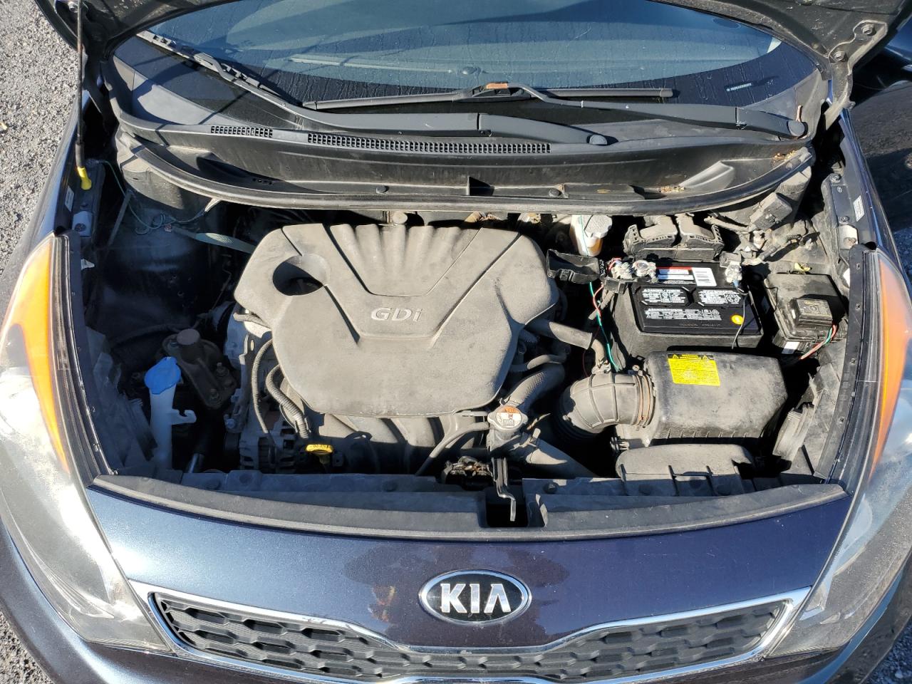 2013 Kia Rio Ex VIN: KNADN5A35D6893808 Lot: 85291895