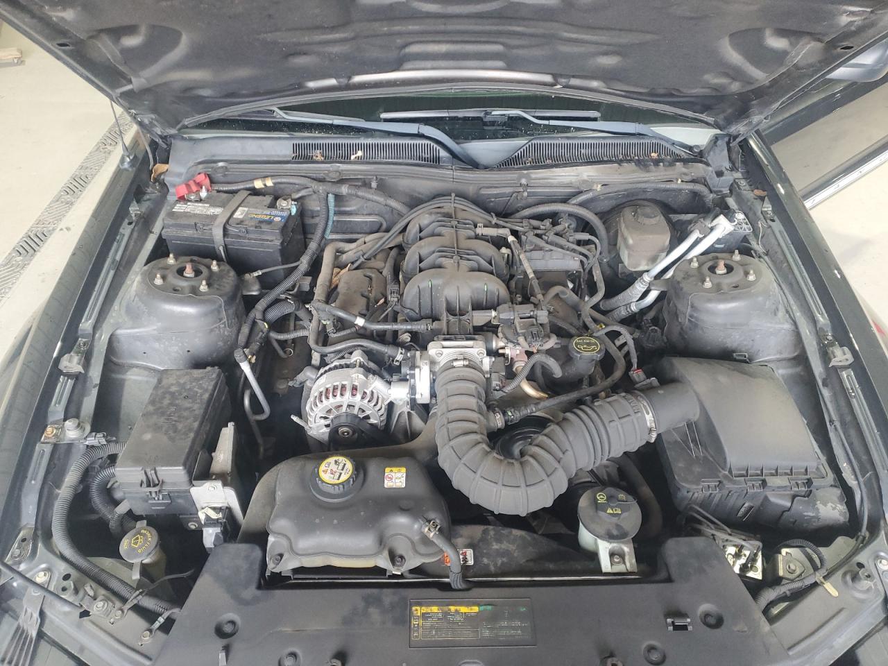 2008 Ford Mustang VIN: 1ZVHT80N385111111 Lot: 86225655