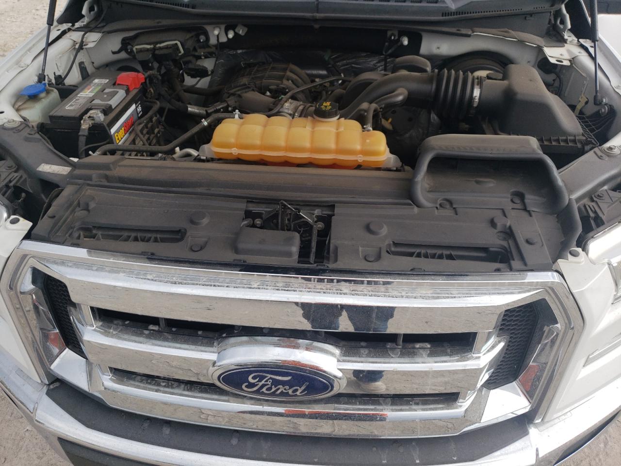 2016 Ford F150 VIN: 1FTMF1C82GKD36724 Lot: 81367005