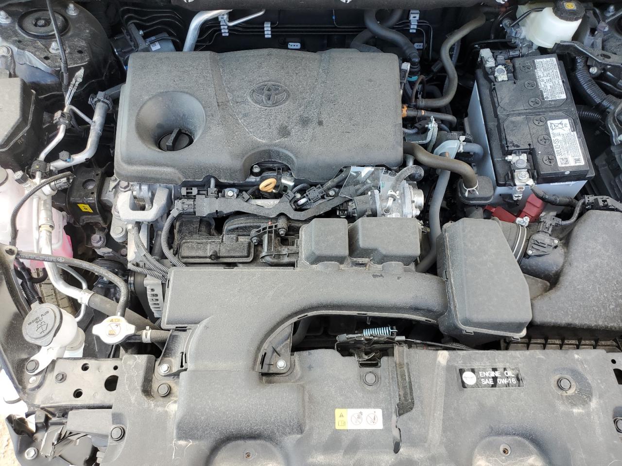 2024 Toyota Rav4 Xle VIN: 2T3R1RFV9RC489469 Lot: 85562365