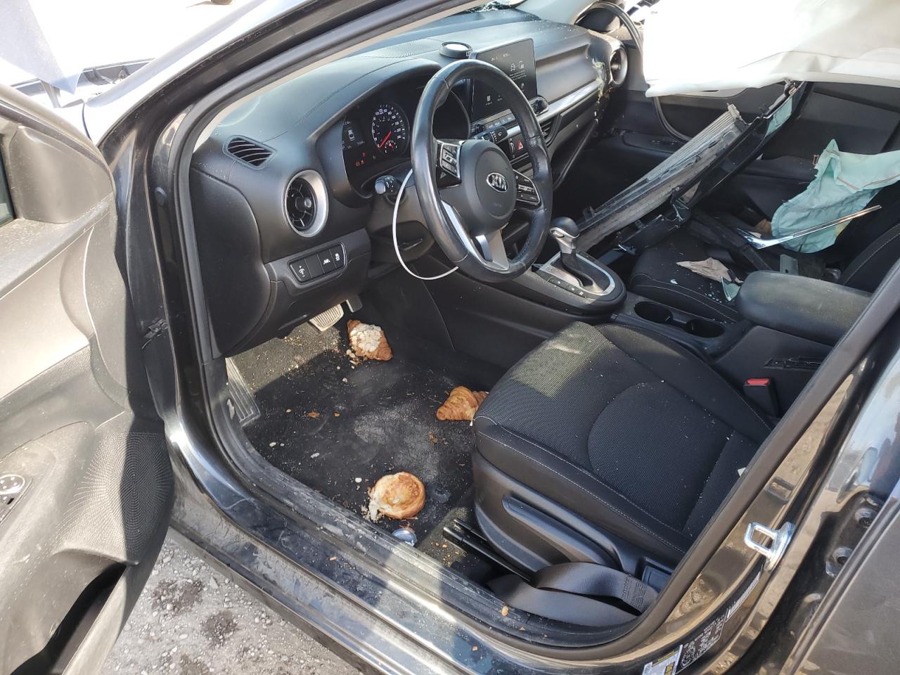 2019 Kia Forte Fe VIN: 3KPF24AD3KE134489 Lot: 85168325