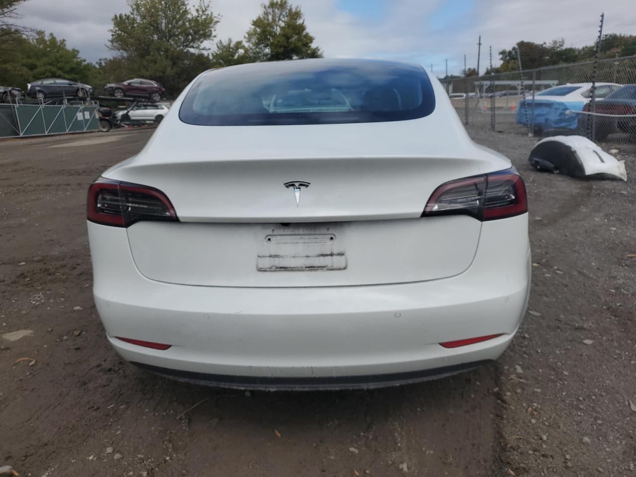 2020 Tesla Model 3 VIN: 5YJ3E1EA5LF797177 Lot: 85579985