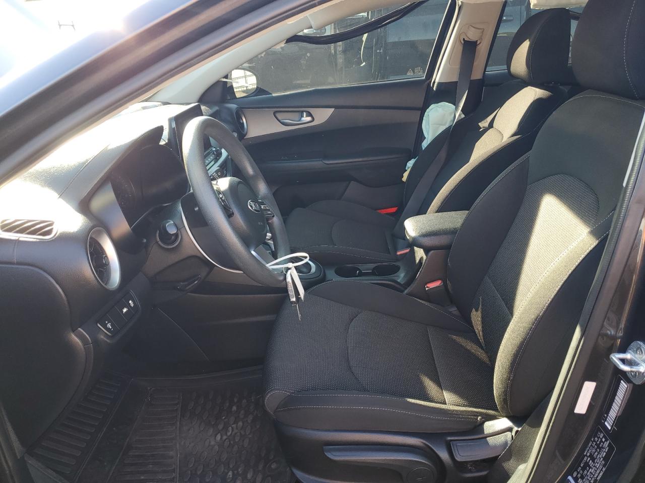 2019 Kia Forte Fe VIN: 3KPF24ADXKE032770 Lot: 85099345