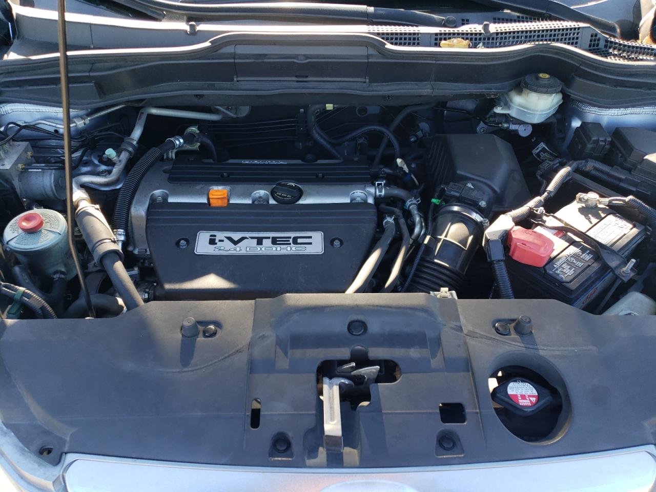 2008 Honda Cr-V Exl VIN: JHLRE48758C043313 Lot: 82401755