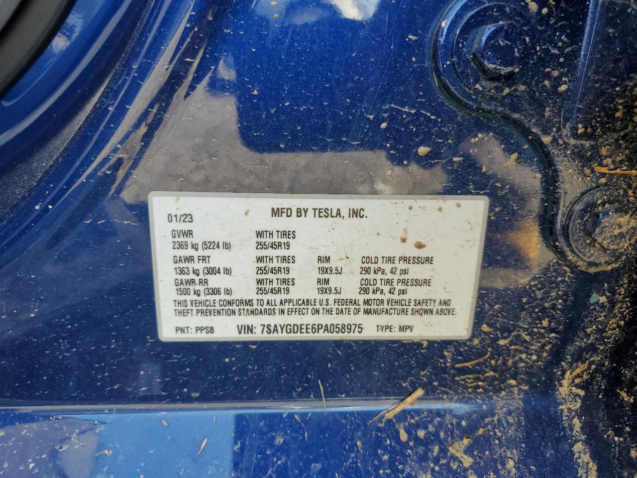 2023 Tesla Model Y VIN: 7SAYGDEE6PA058975 Lot: 85126905