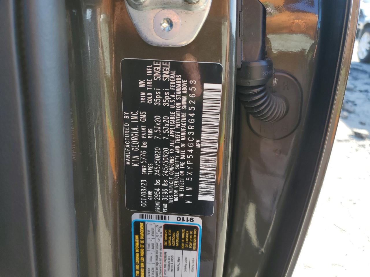 2024 Kia Telluride Sx VIN: 5XYP54GC3RG452653 Lot: 81938645