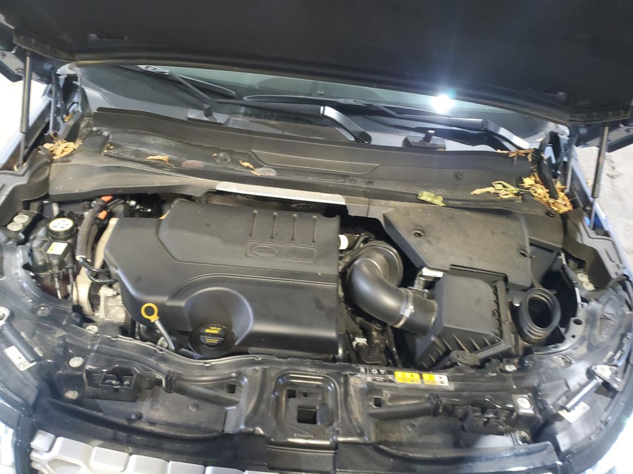 2023 Land Rover Discovery VIN: SALCP2FX7PH920589 Lot: 87117815