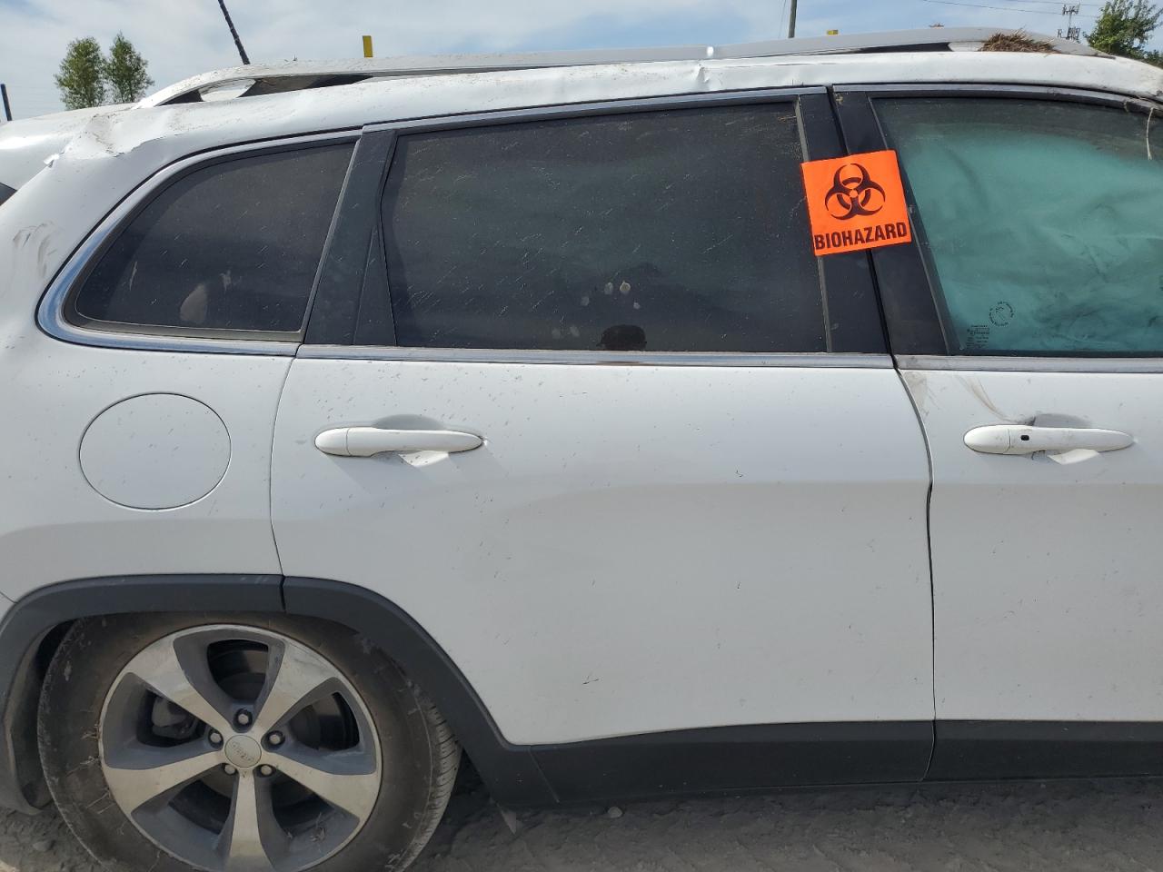 2019 Jeep Cherokee Limited VIN: 1C4PJMDX3KD239189 Lot: 84880235