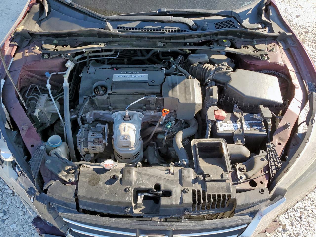 2013 Honda Accord Exl VIN: 1HGCR2F87DA019612 Lot: 81944145