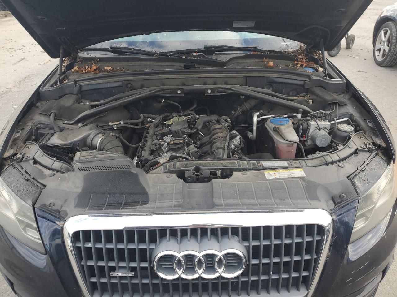 2011 Audi Q5 Premium Plus VIN: WA1LFAFP6BA023330 Lot: 85714055