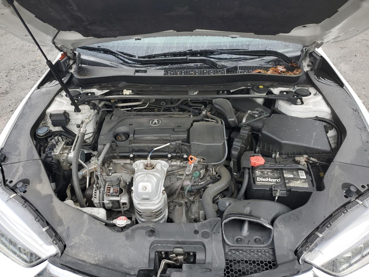 2019 Acura Tlx Technology VIN: 19UUB1F58KA008561 Lot: 86850555