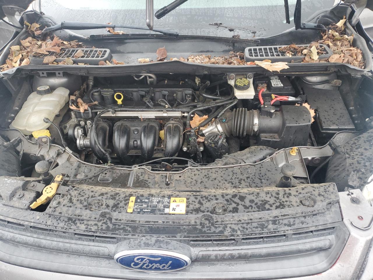 2014 Ford Escape S VIN: 1FMCU0F70EUA75556 Lot: 82595635