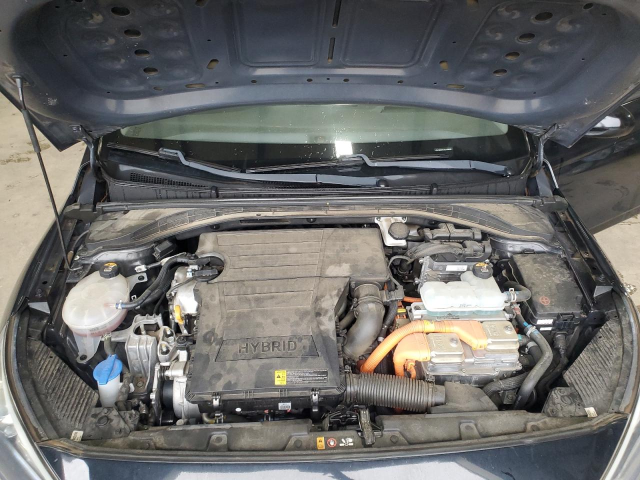 2020 Hyundai Ioniq Blue VIN: KMHC65LC8LU186295 Lot: 90113715