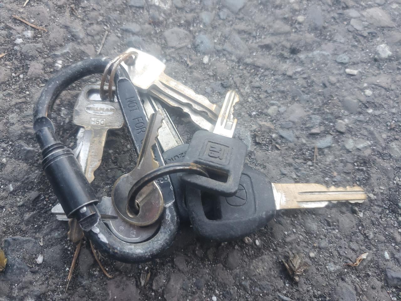 2006 Suzuki Sv1000 Sk3 VIN: JS1VT54A962101347 Lot: 82524085