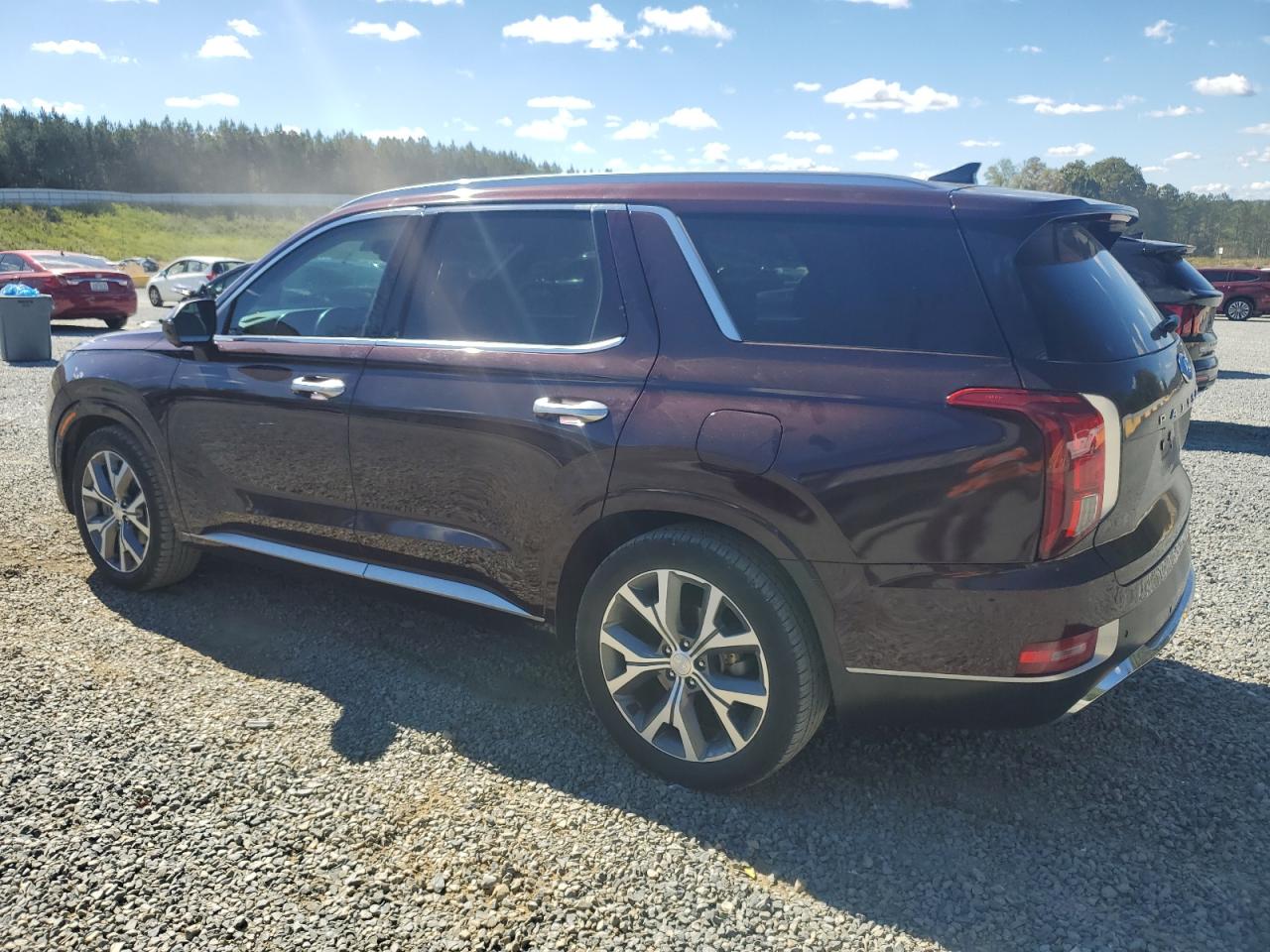 2022 Hyundai Palisade Limited purple null gas KM8R5DHEXNU473559 photo #3