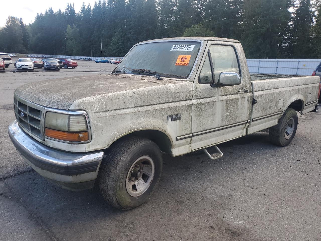 1994 Ford F150