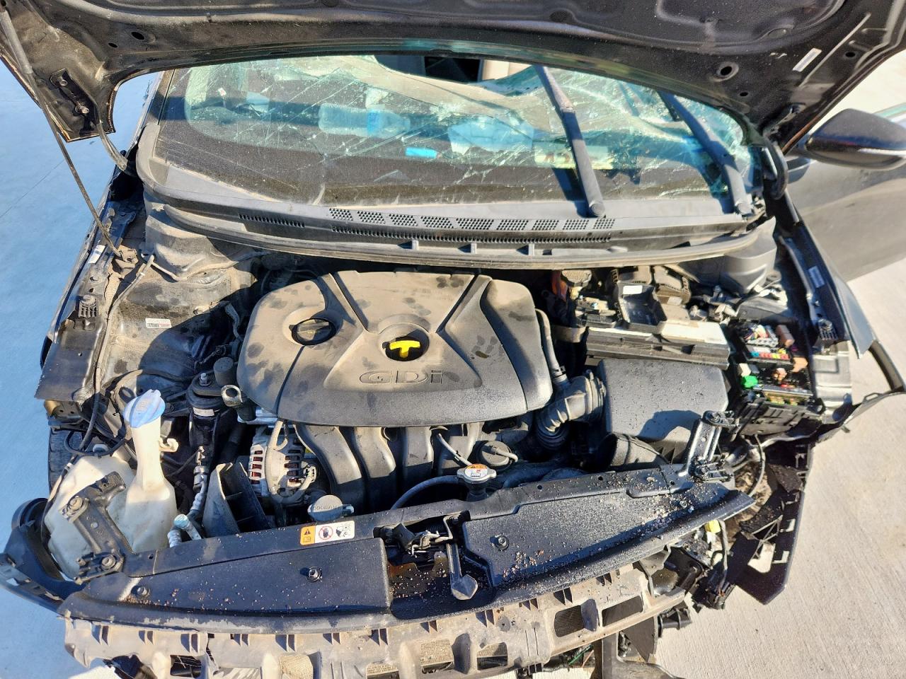 2014 Kia Forte Ex VIN: KNAFX4A8XE5231884 Lot: 85647755