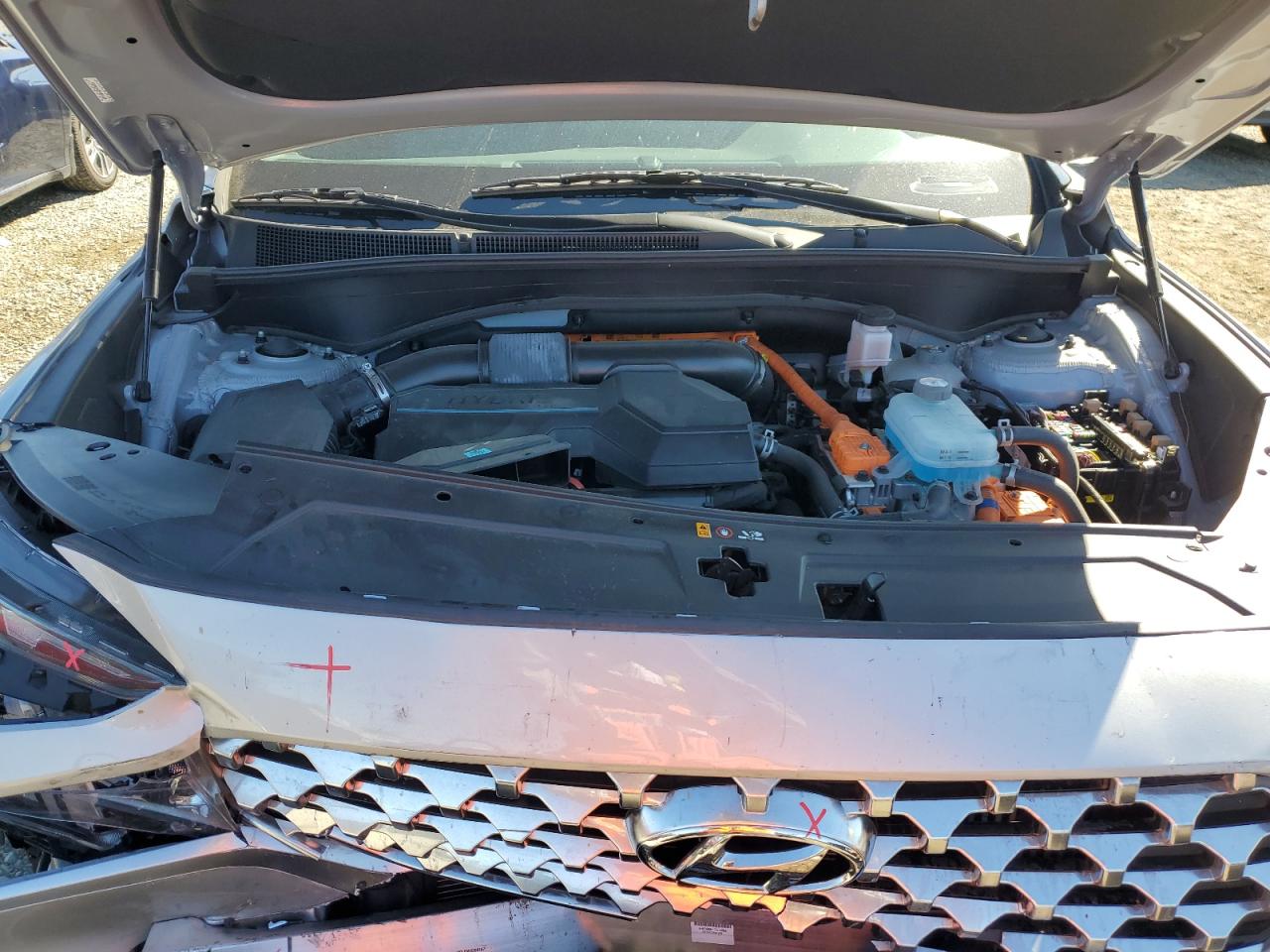 2023 Hyundai Santa Fe Sel VIN: KM8S6DA25PU096558 Lot: 81951585