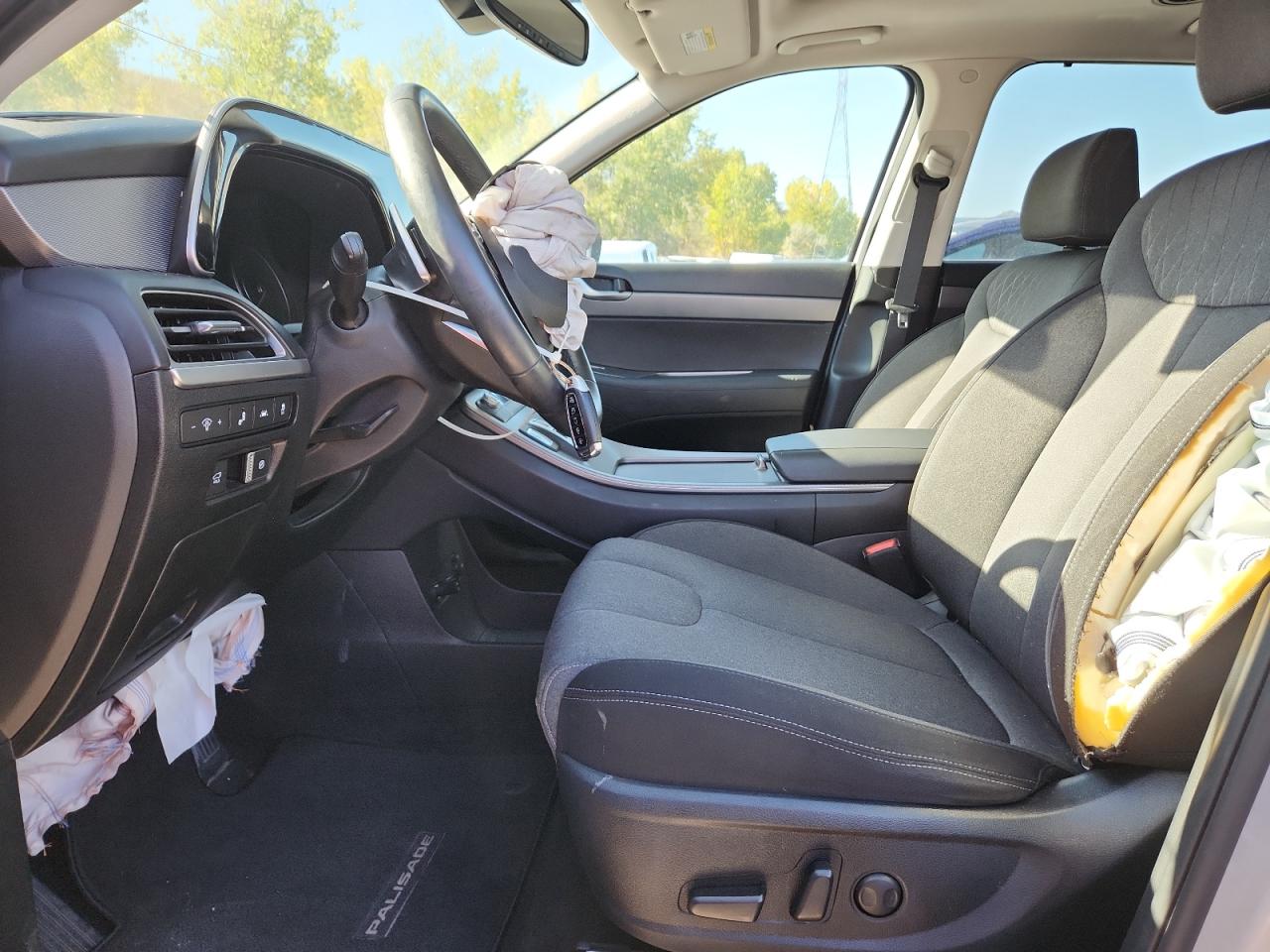 2022 Hyundai Palisade Sel VIN: KM8R3DHE6NU404616 Lot: 71118865