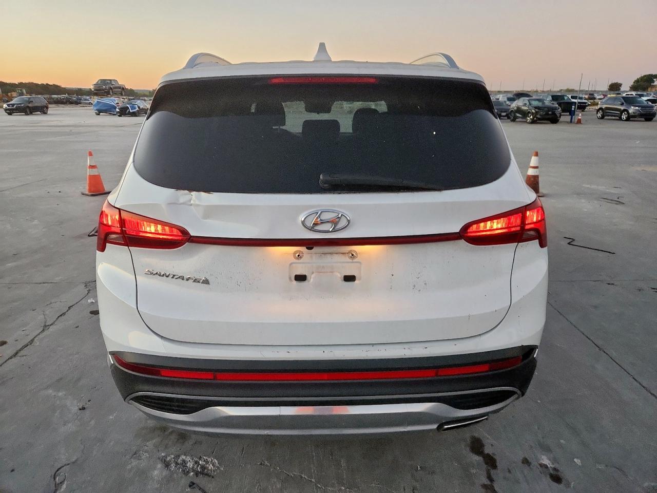 2021 Hyundai Santa Fe Sel VIN: 5NMS24AJ0MH317963 Lot: 86079045