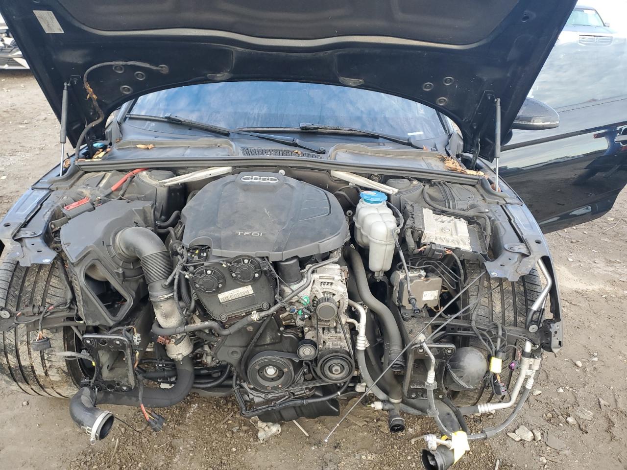 2019 Audi A5 Premium Plus VIN: WAUTNAF5XKA007698 Lot: 86304385