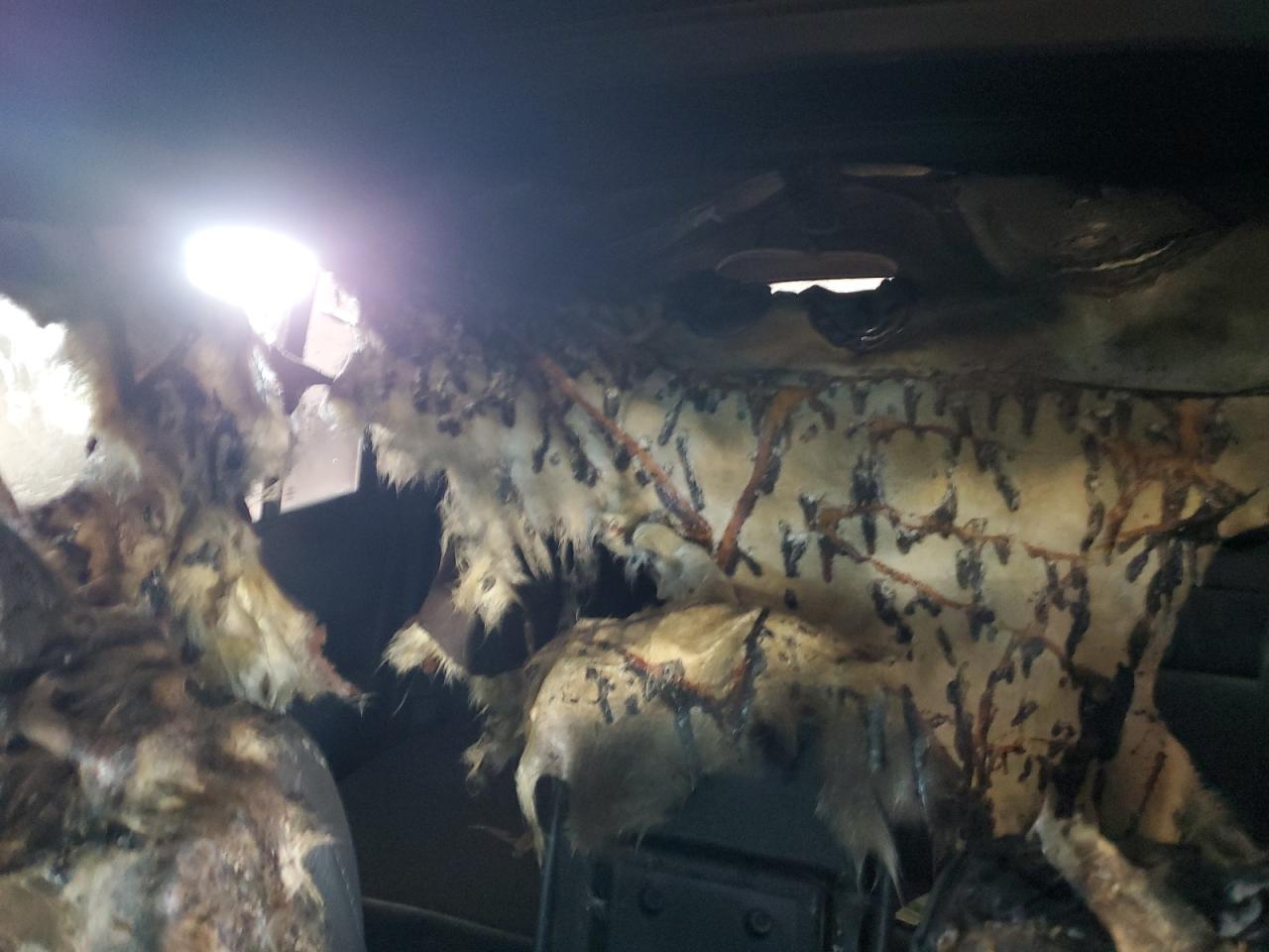 2009 Ford Flex Sel VIN: 2FMDK52C89BA12937 Lot: 82662745