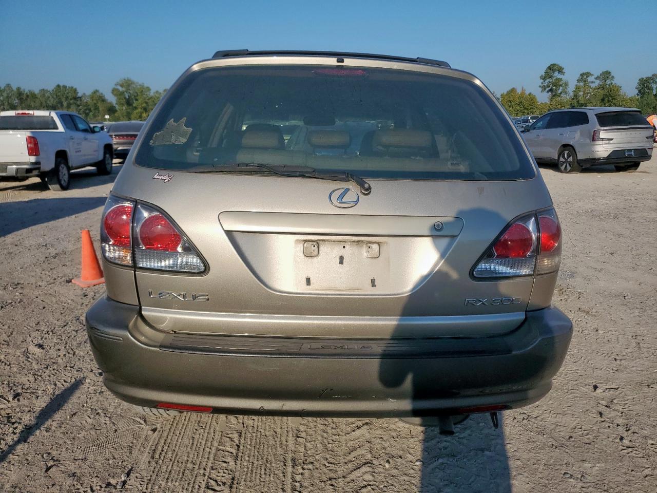 2002 Lexus Rx 300 VIN: JTJGF10U020123268 Lot: 82184285