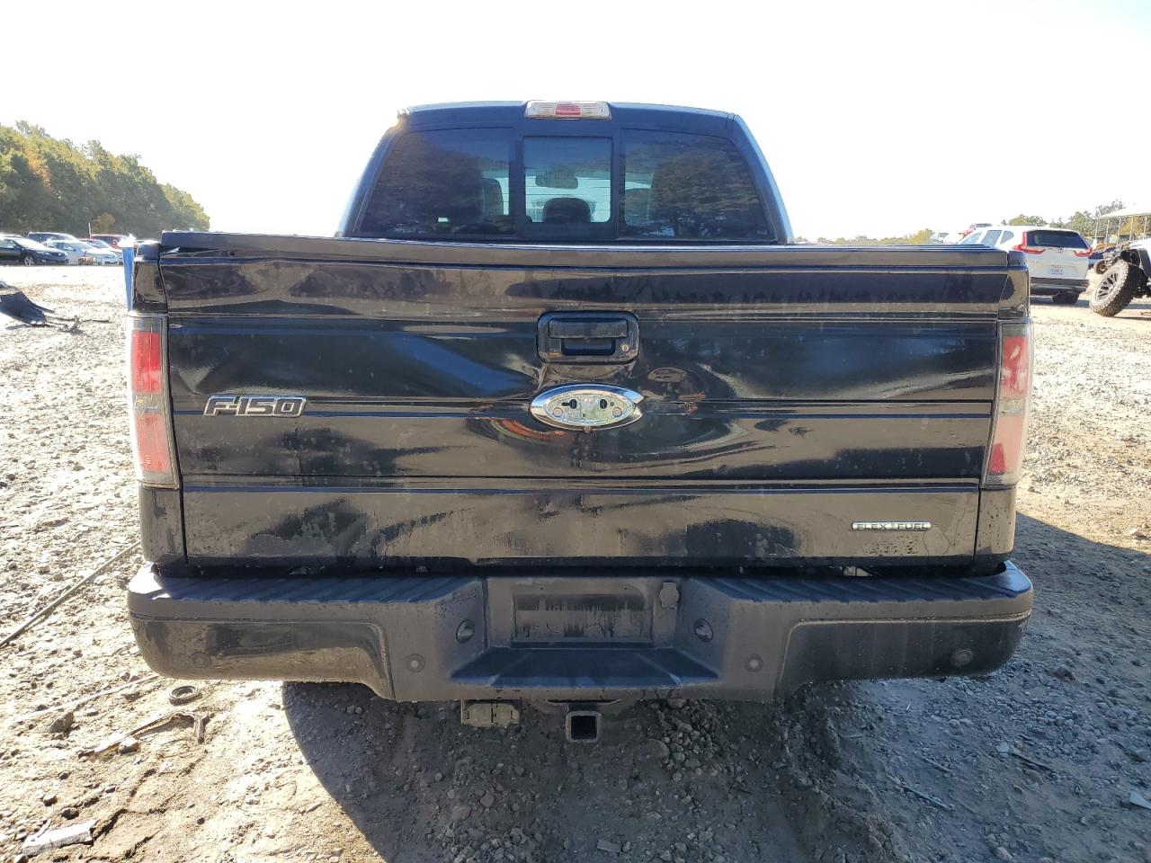 2013 Ford F150 Supercrew VIN: 1FTFW1EF9DKE86376 Lot: 87032885