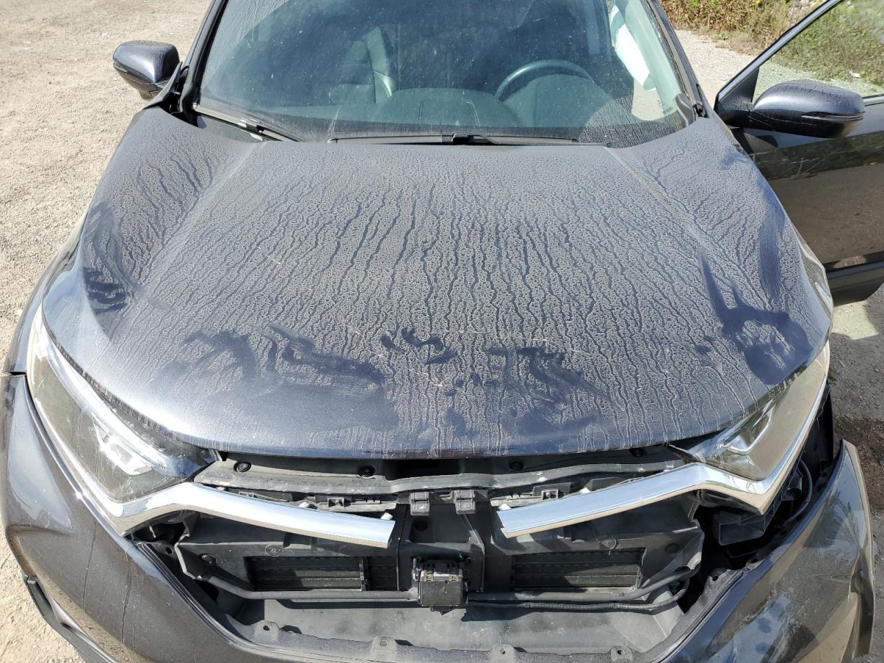 2019 Honda Cr-V Exl VIN: 2HKRW2H81KH136526 Lot: 83760965