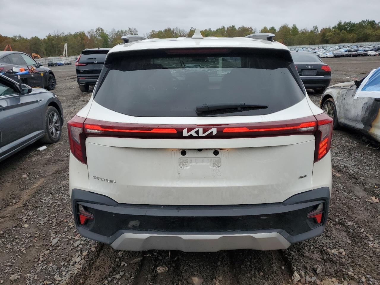2024 Kia Seltos Ex VIN: KNDERCAA6R7641694 Lot: 85879615