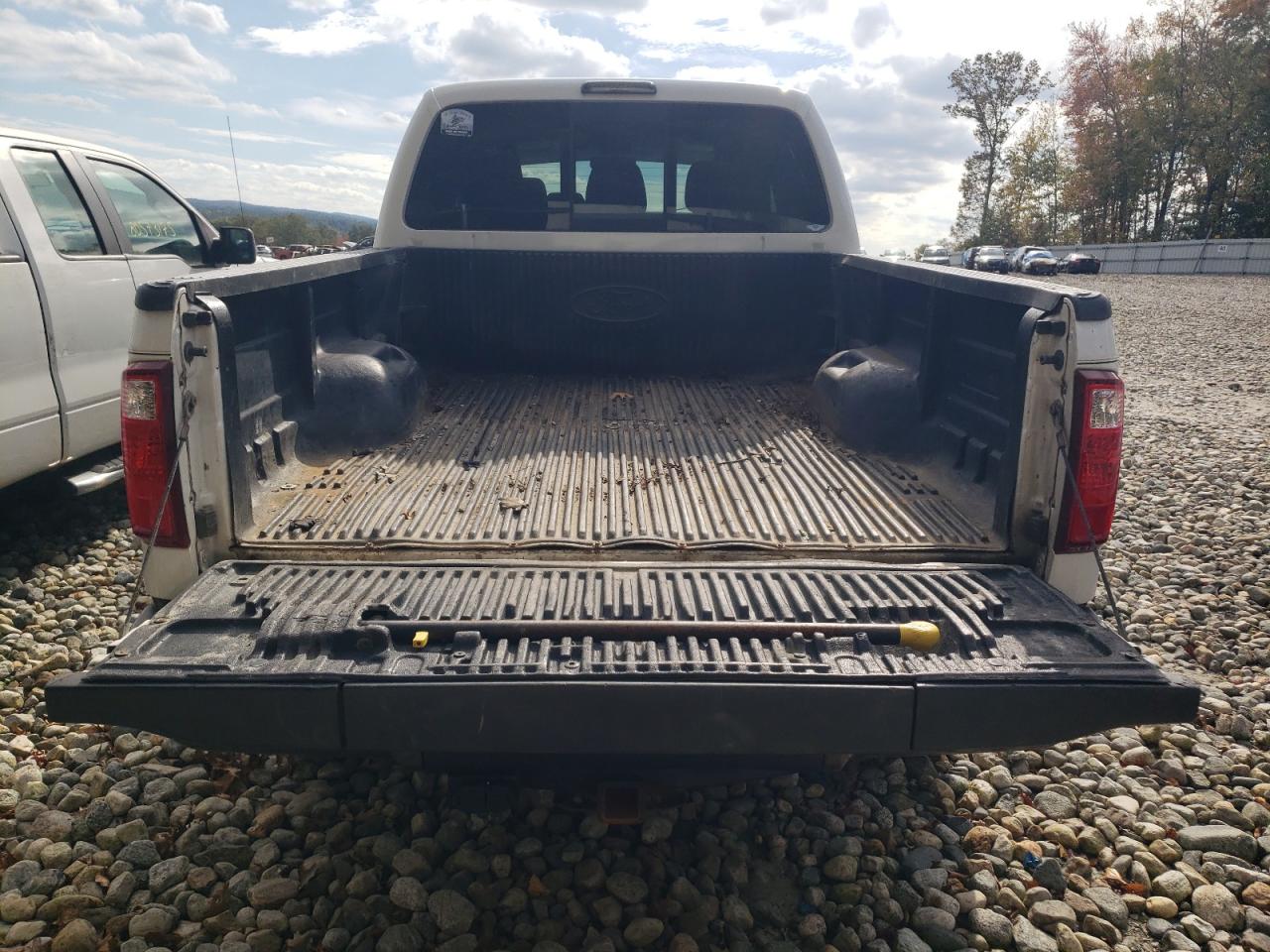 2015 Ford F350 Super Duty VIN: 1FT8W3BT7FEA43983 Lot: 80848765