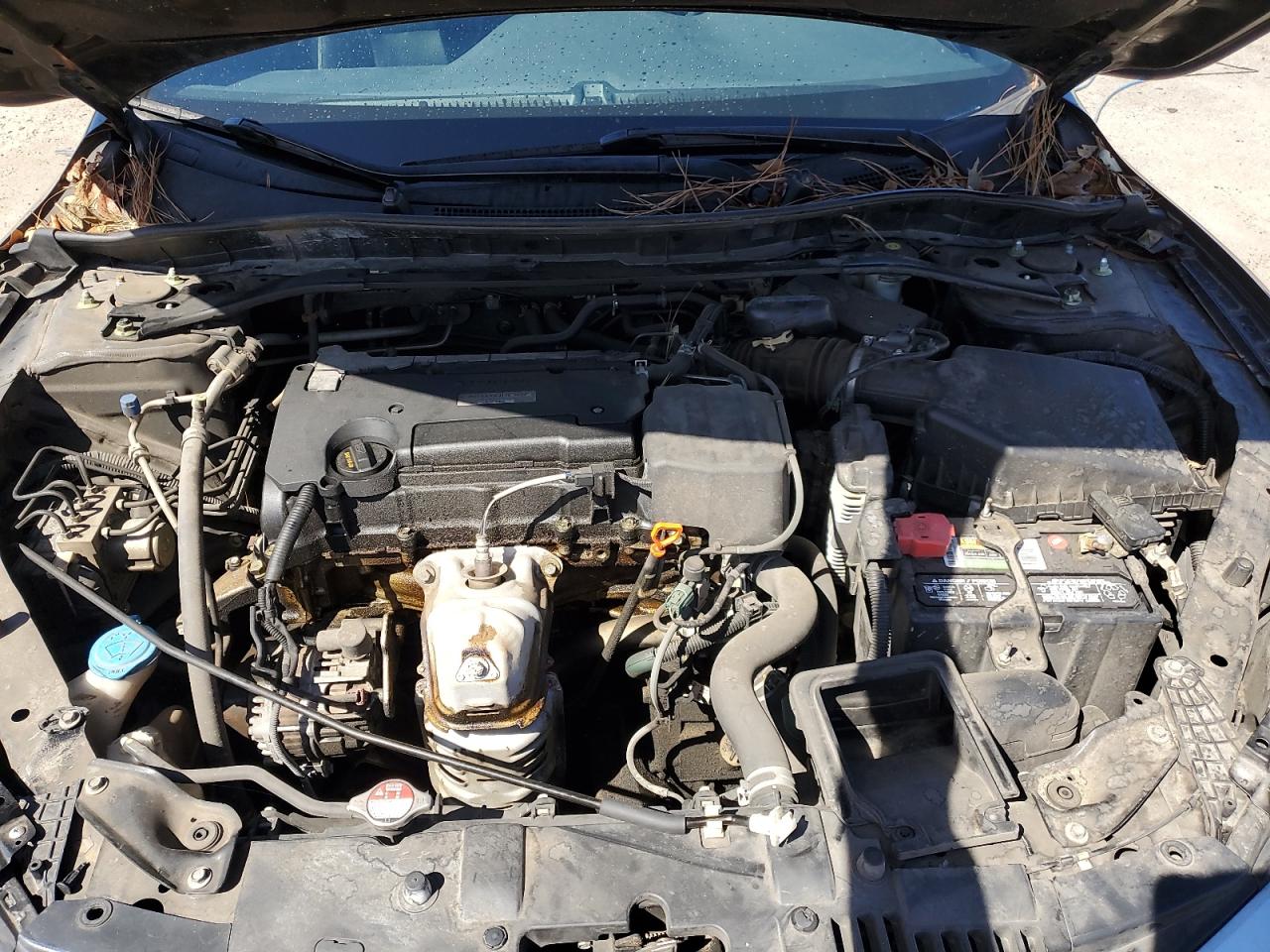 2017 Honda Accord Sport Special Edition VIN: 1HGCR2F12HA004329 Lot: 85272195