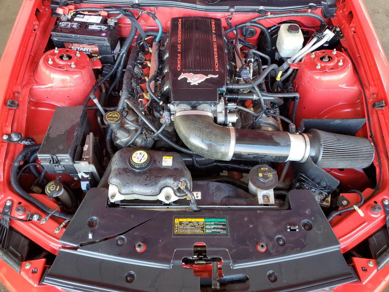 2008 Ford Mustang Gt VIN: 1ZVHT82H685117170 Lot: 89563695