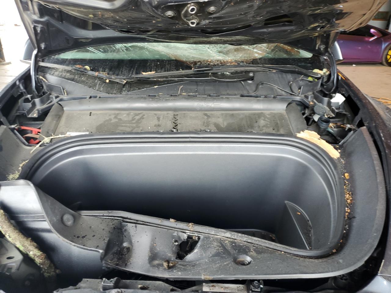 2023 Tesla Model Y VIN: 7SAYGDEEXPA195157 Lot: 84061295