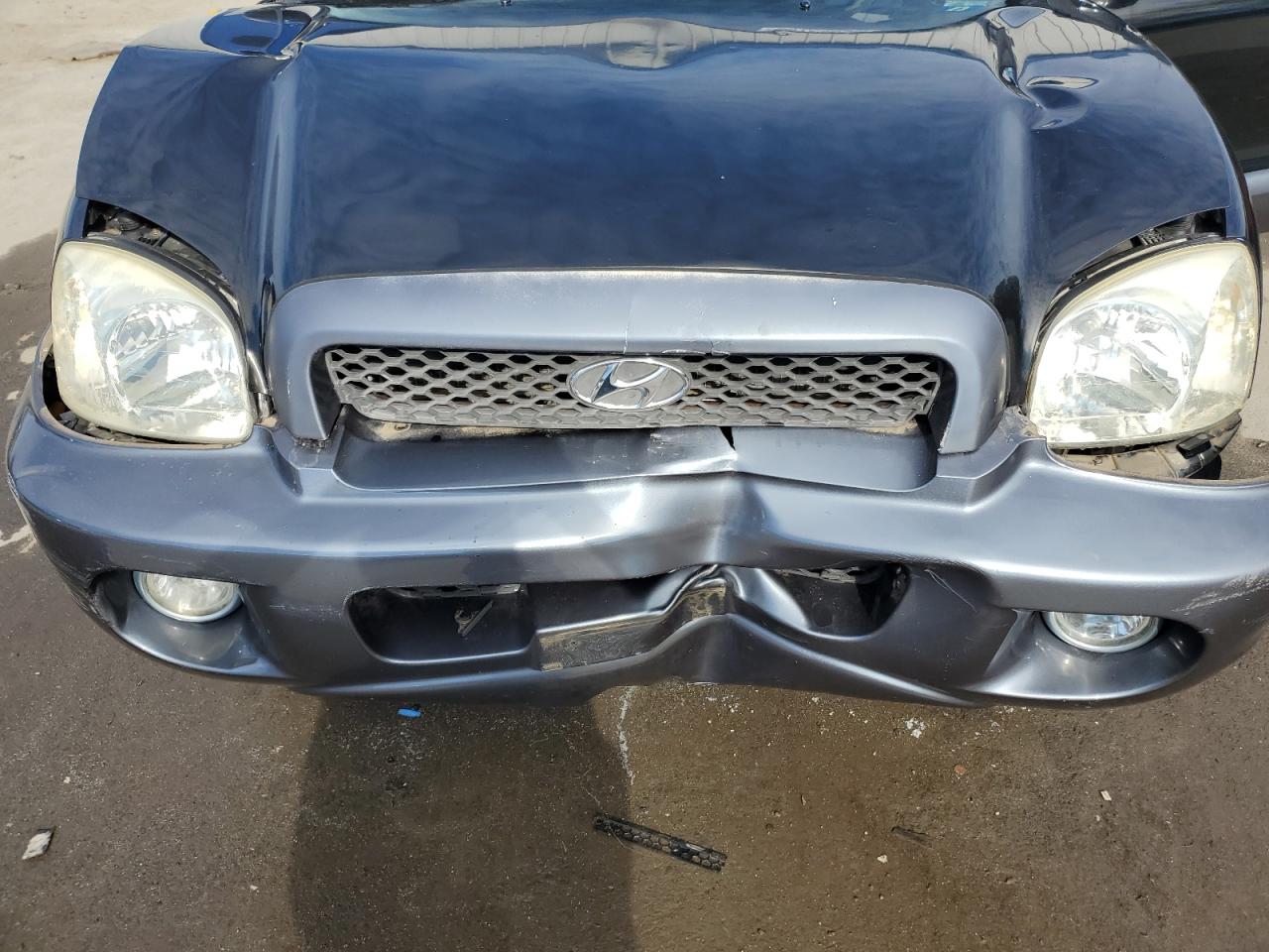 2003 Hyundai Santa Fe Gls VIN: KM8SC73D03U536463 Lot: 86743855