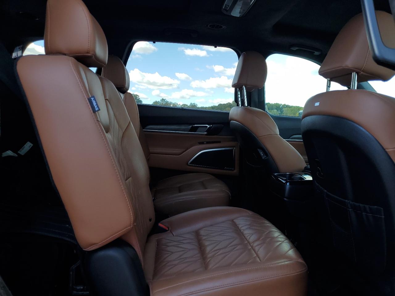 2024 Kia Telluride Sx VIN: 5XYP5DGCXRG497427 Lot: 85340945