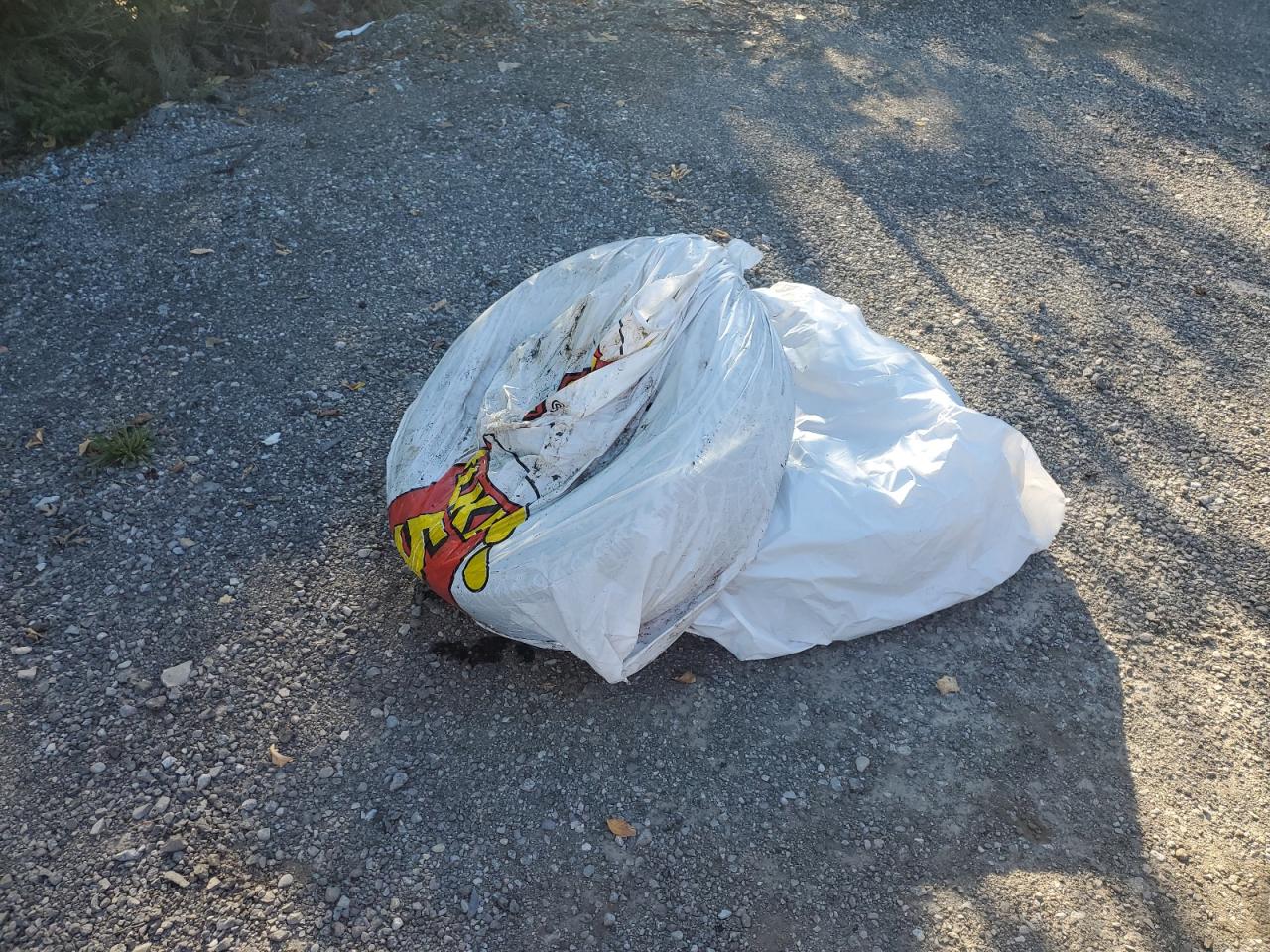 2015 Dodge Grand Caravan Se VIN: 2C4RDGBG6FR518787 Lot: 81937545