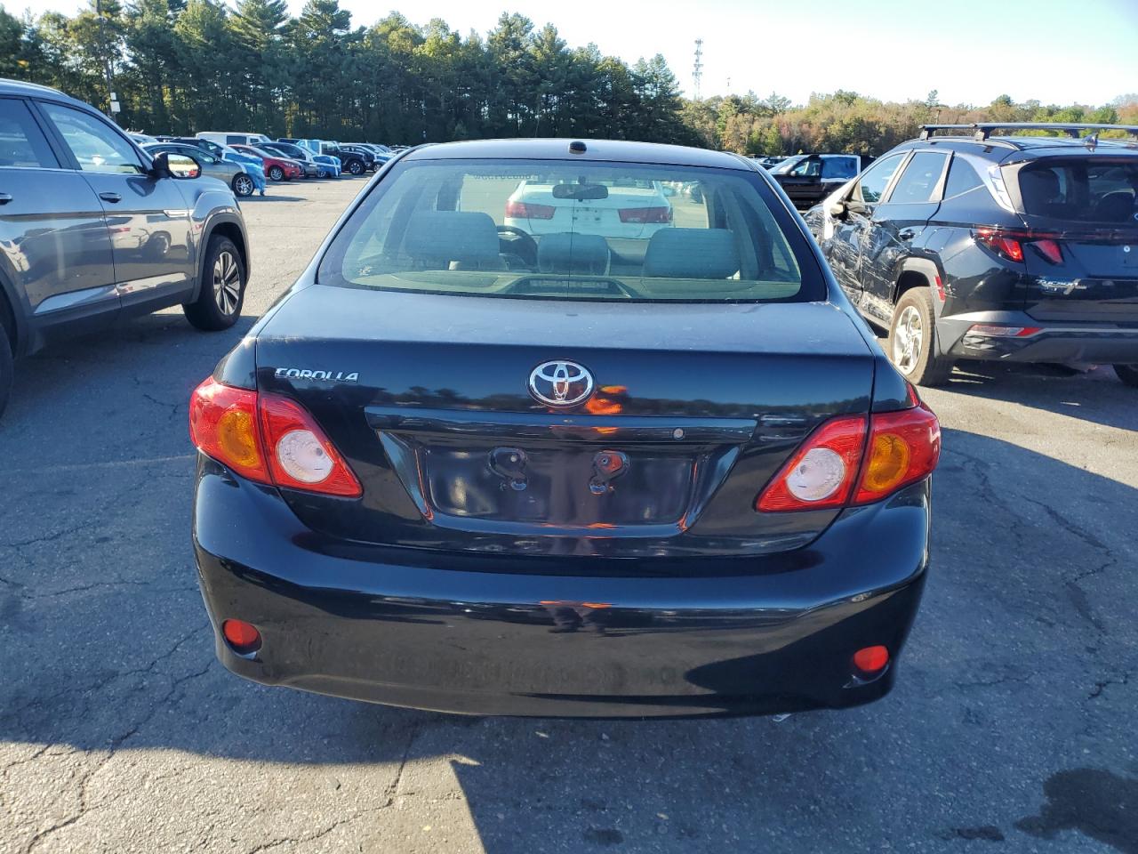 2010 Toyota Corolla Base VIN: JTDBU4EE9AJ060833 Lot: 86095155