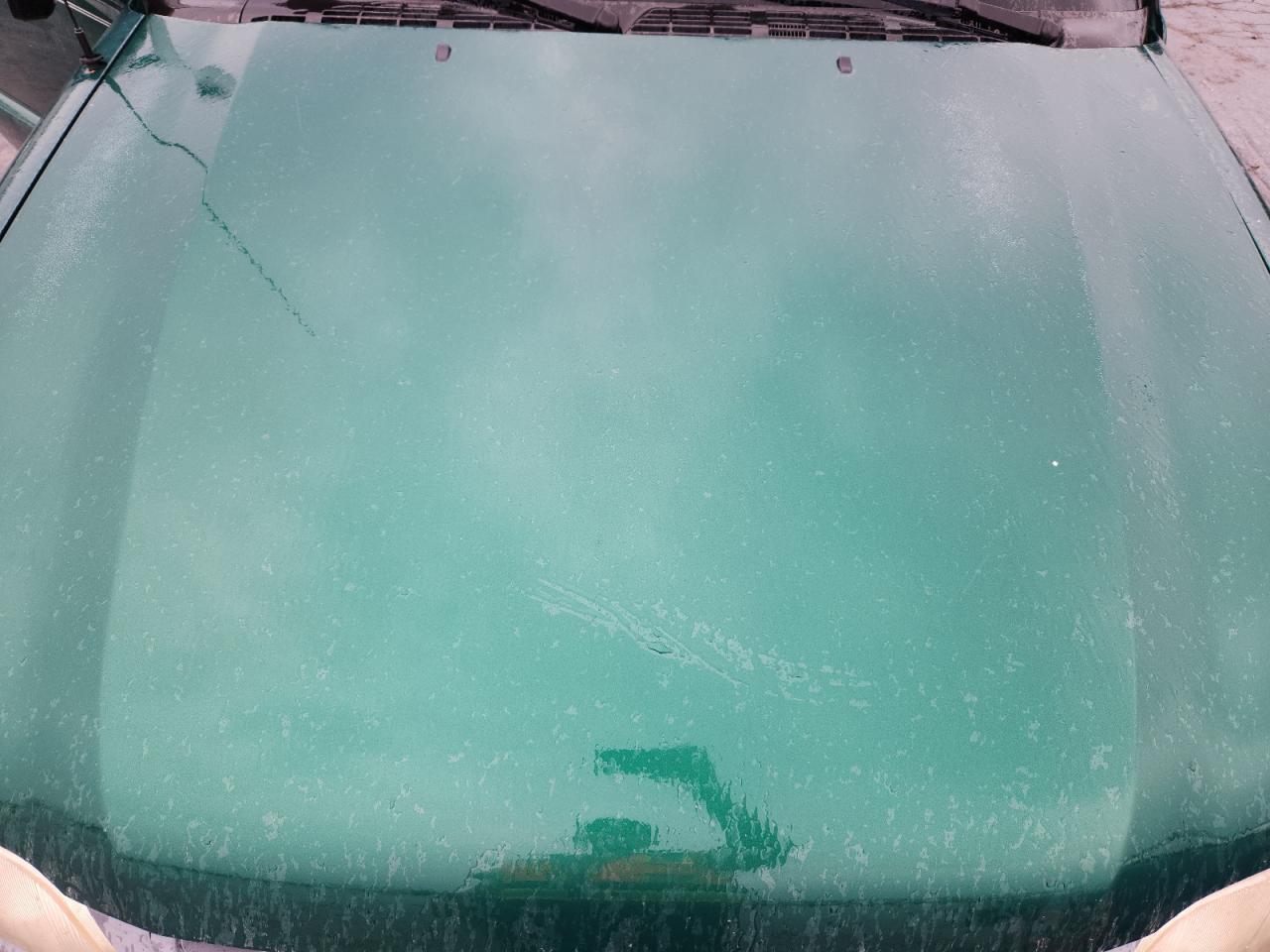 1999 Isuzu Hombre VIN: 1GGCS1446X8650262 Lot: 82449485