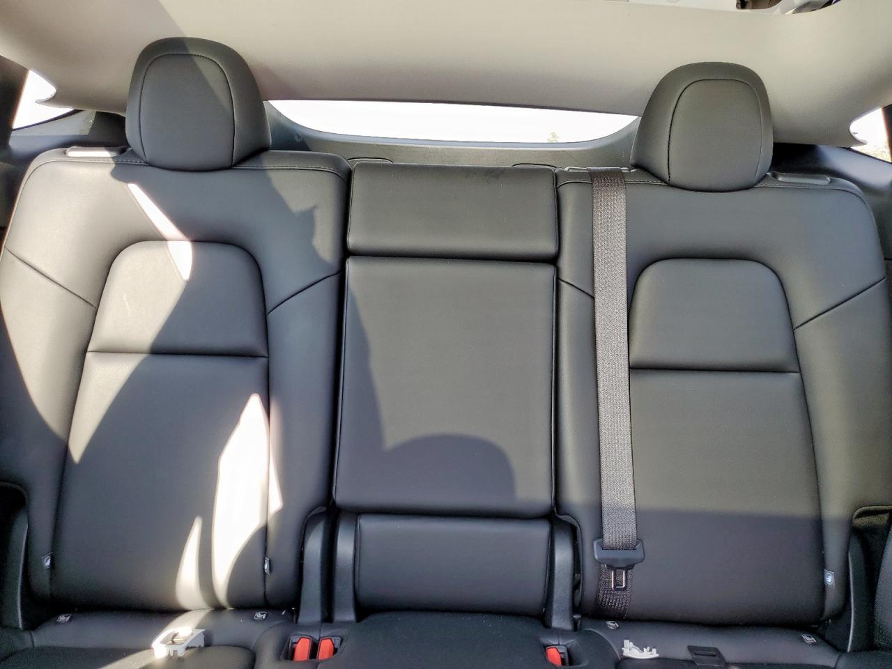 2024 Tesla Model Y VIN: 7SAYGDEE5RF210654 Lot: 84984795