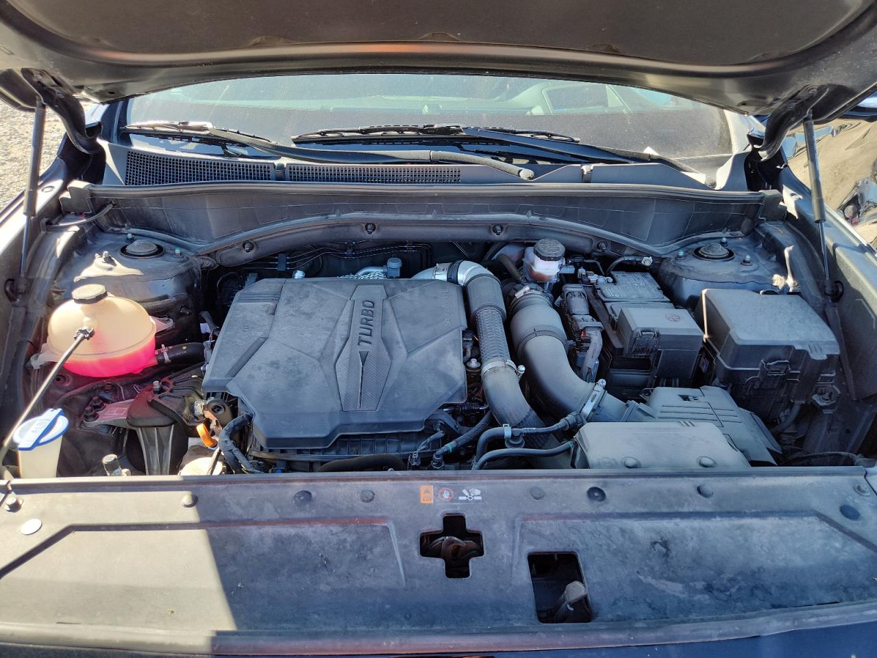 2023 Hyundai Santa Fe Calligraphy VIN: 5NMS5DAL7PH517834 Lot: 82006435