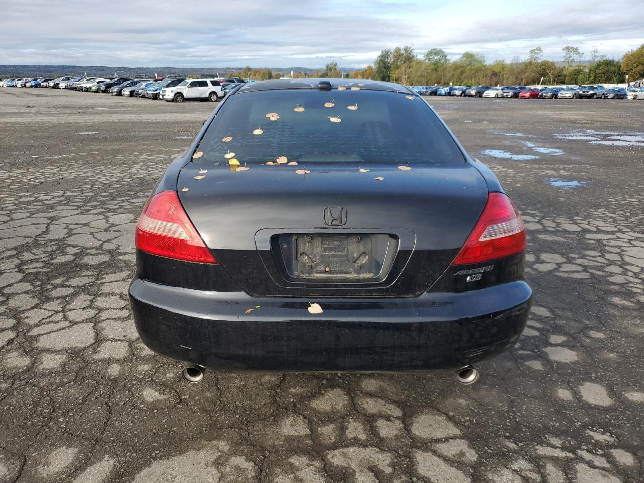 2004 Honda Accord Ex VIN: 1HGCM82604A020719 Lot: 85849685