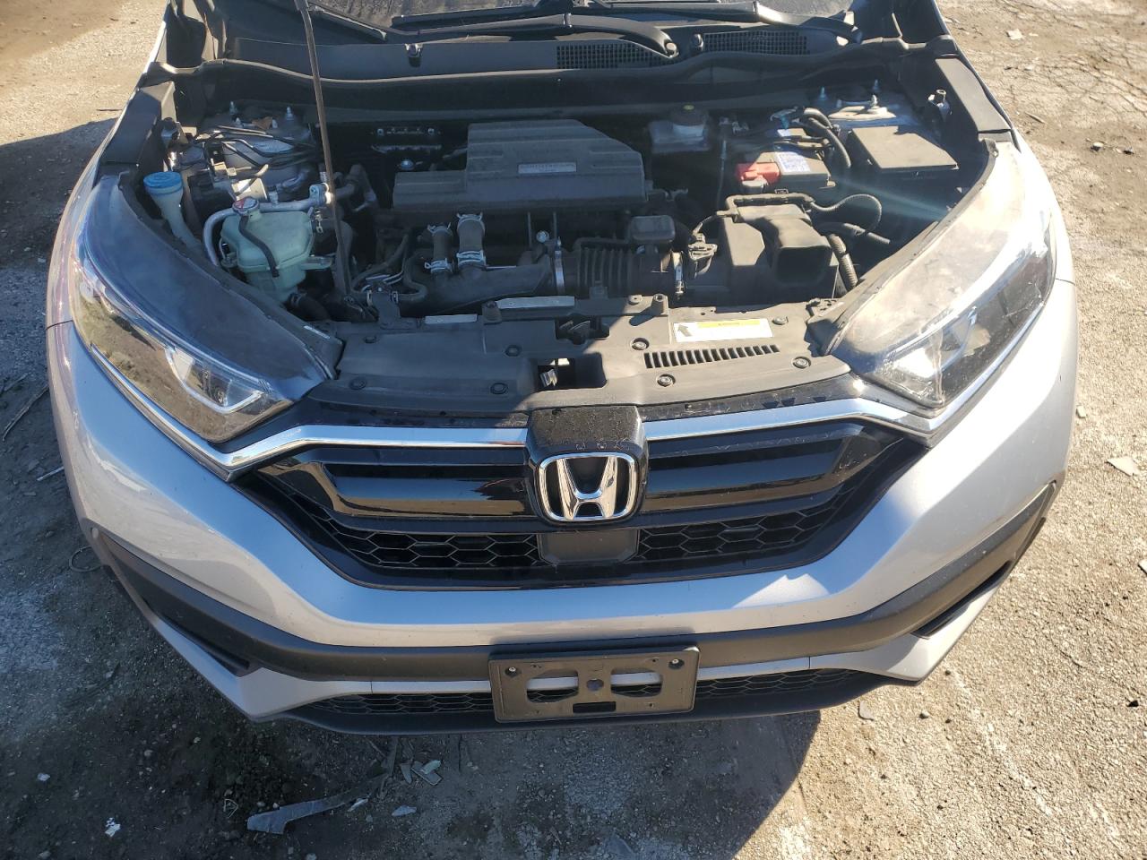 2020 Honda Cr-V Exl VIN: 5J6RW2H88LL045843 Lot: 82681495