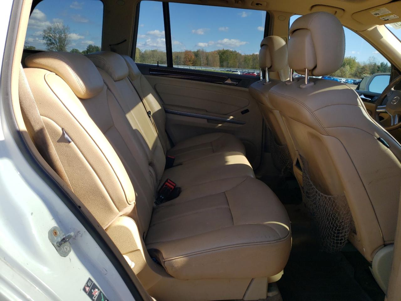 2010 Mercedes-Benz Gl 450 4Matic VIN: 4JGBF7BB8AA533235 Lot: 89656425