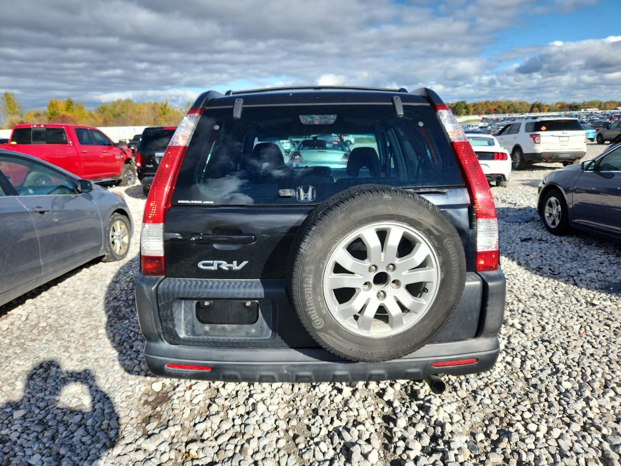 2005 Honda Cr-V Ex VIN: JHLRD78845C003250 Lot: 89625145