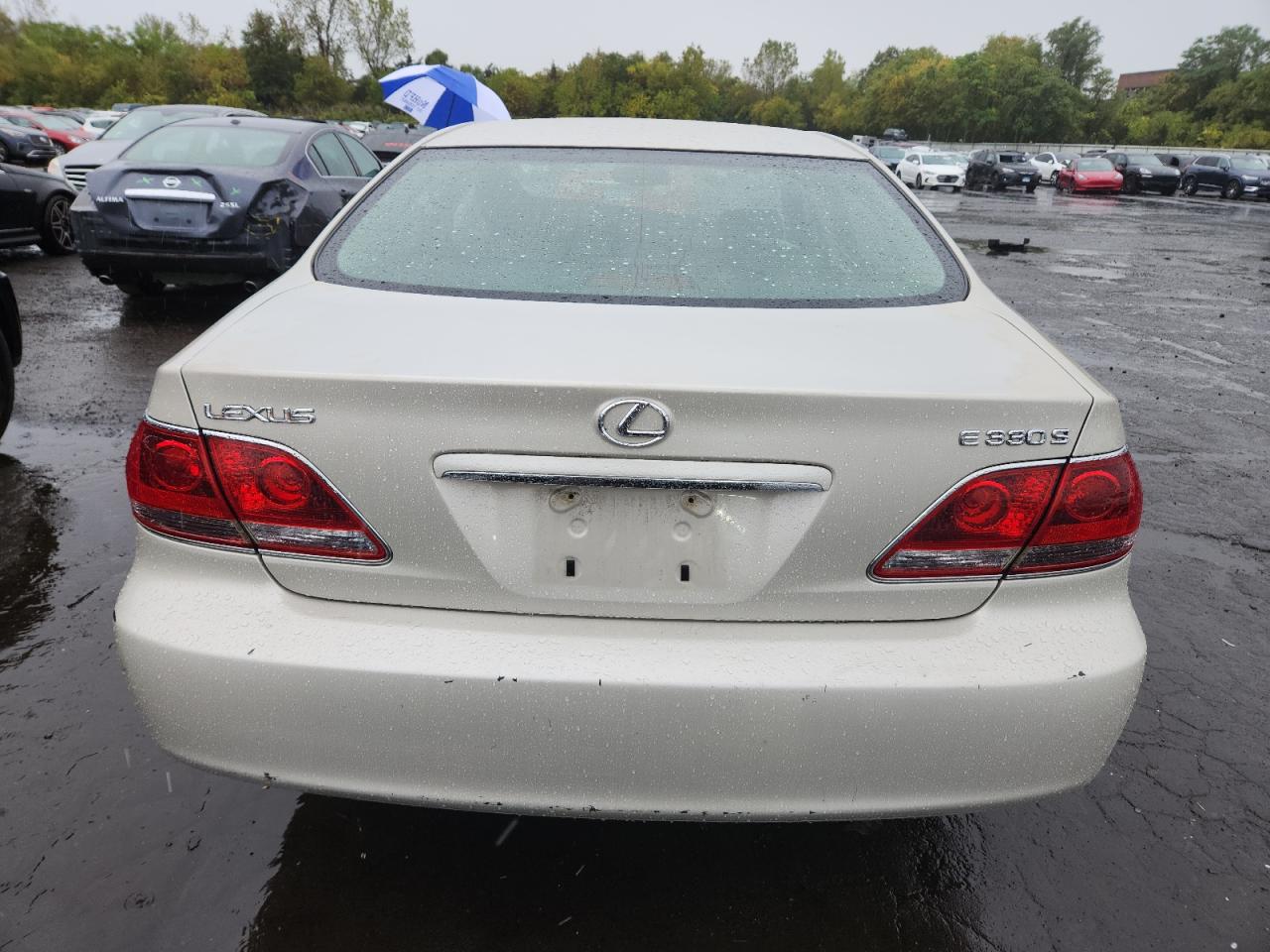 2006 Lexus Es 330 VIN: JTHBA30G365157116 Lot: 85572105