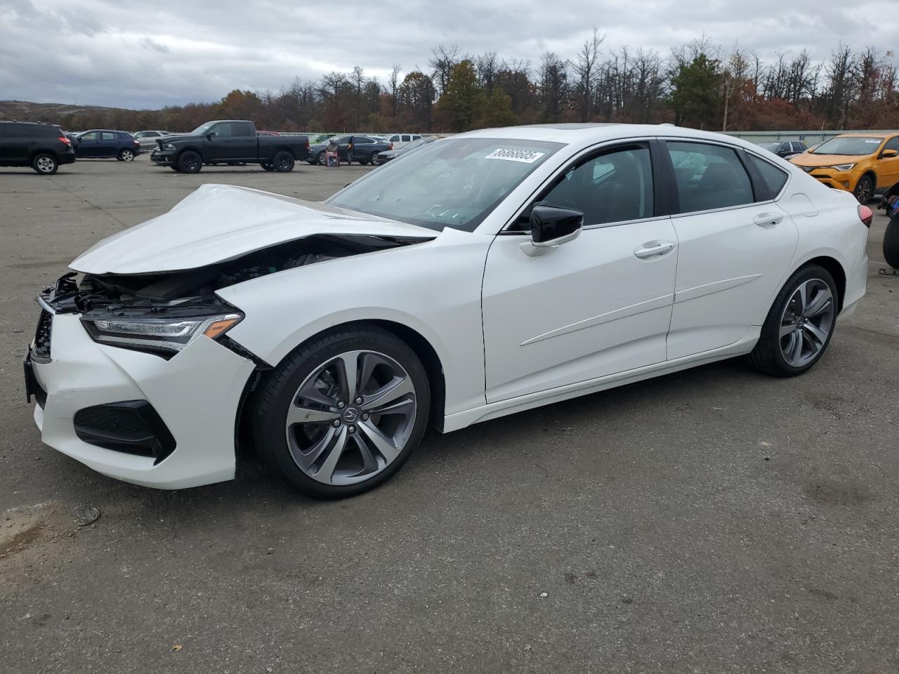 2021 Acura Tlx Advance