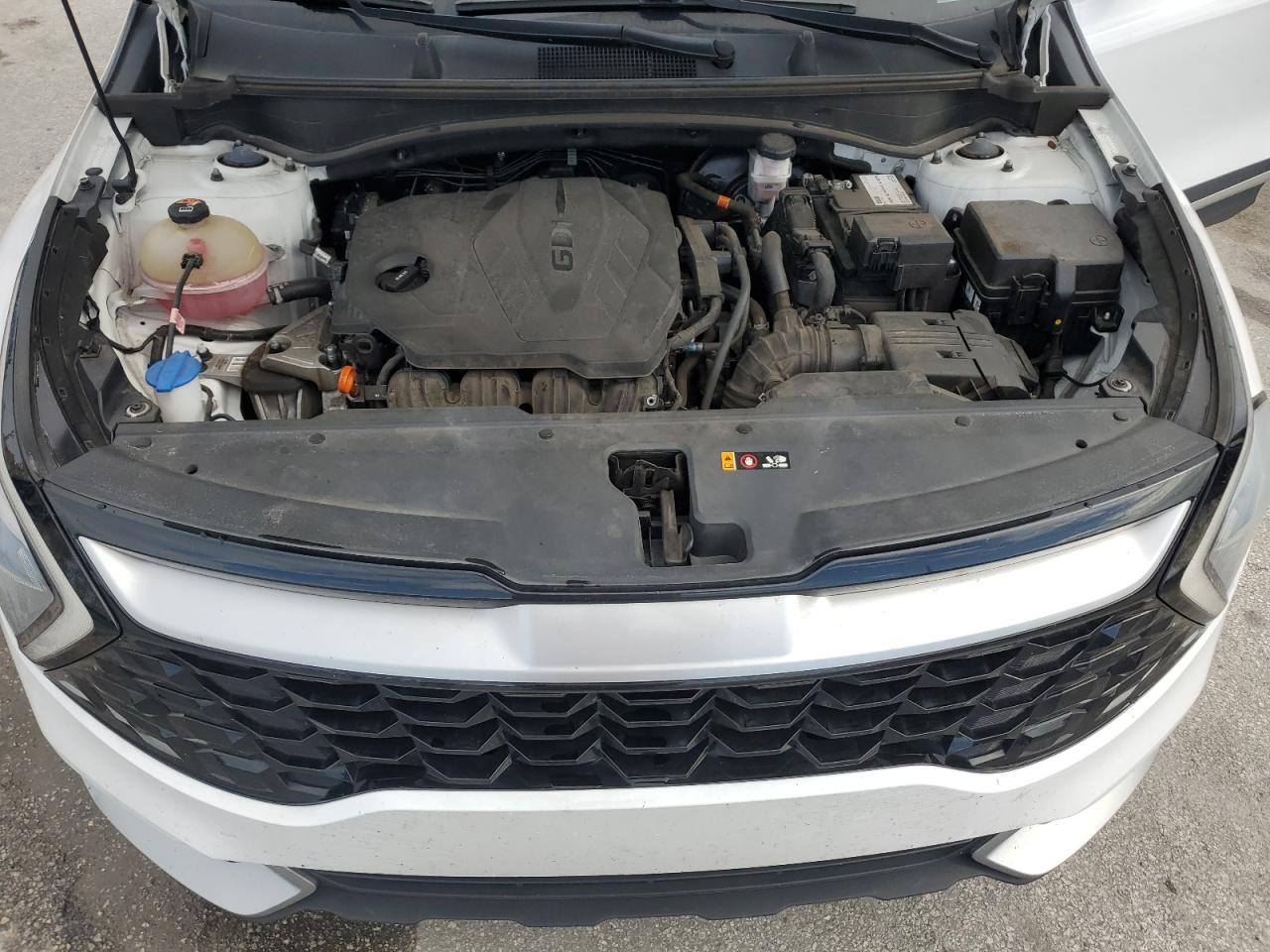 2023 Kia Sportage Ex VIN: 5XYK33AF7PG066201 Lot: 82189585